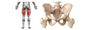 HAMSTRING INJURY CAUSED BY LUMBO-PELVIC INSTABILITY – CAN COMPRESSION HELP?