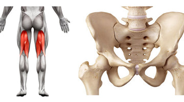 HAMSTRING INJURY CAUSED BY LUMBO-PELVIC INSTABILITY – CAN COMPRESSION HELP?